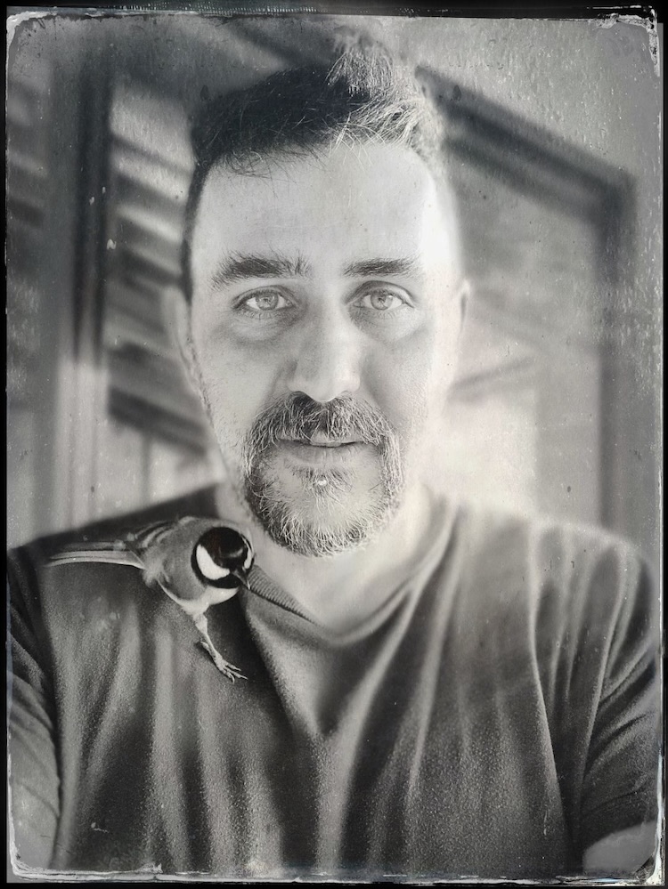Davide Pepe's Portrait